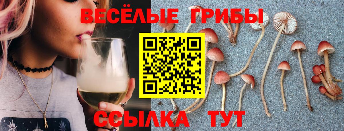 Галлюциногенные грибы MAGIC MUSHROOMS  Фролово 